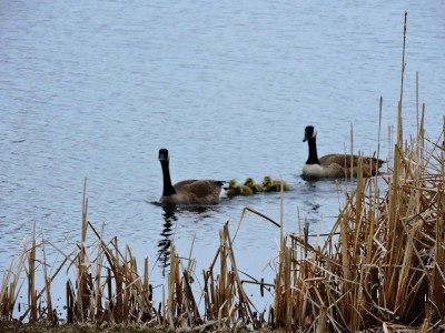 DSCN3279.JPG