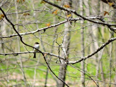 DSCN3268.JPG