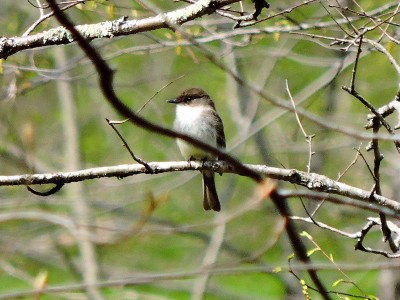 DSCN3269.JPG