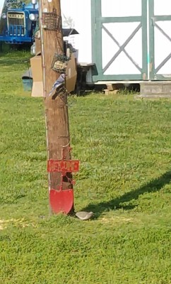 20200508_203737.jpg