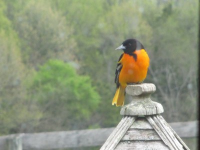 IMG_6823.JPG