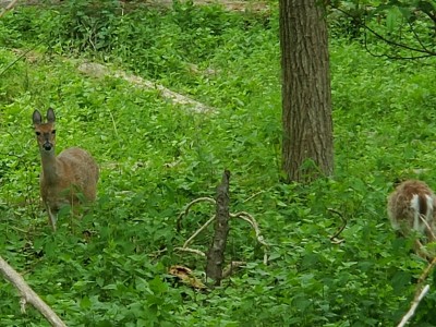 20200518_134739.jpg