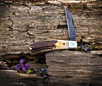 2020-tuna-valley-phoenix-jack-burnt-stag-damascus-01lo.jpg
