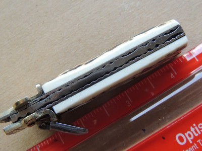 DSCN6333.JPG
