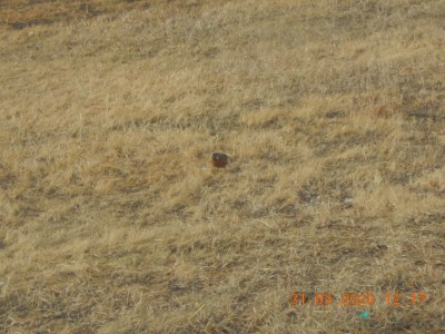 DSCN2951.JPG