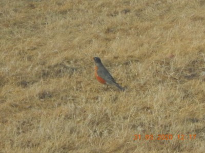 DSCN2952.JPG