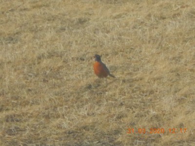 DSCN2953.JPG