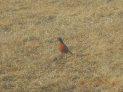 DSCN2954.JPG