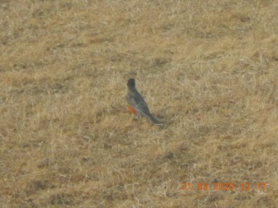 DSCN2955.JPG