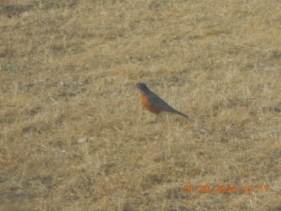 DSCN2956.JPG