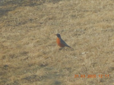 DSCN2957.JPG