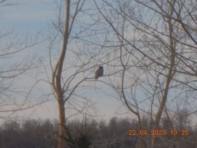 DSCN2962.JPG