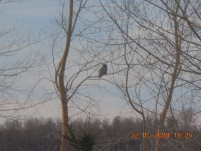 DSCN2963.JPG