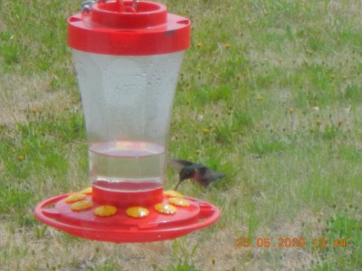 DSCN3350.JPG