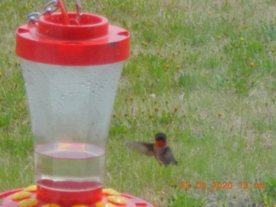 DSCN3351.JPG