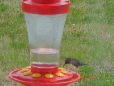 DSCN3352.JPG