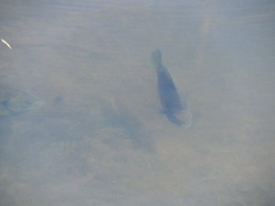 DSCN3346.JPG