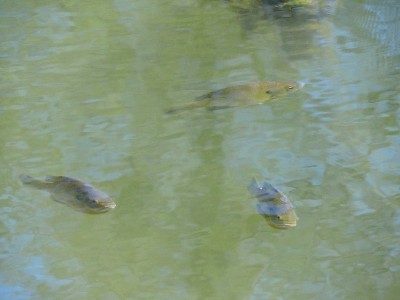 DSCN3348.JPG