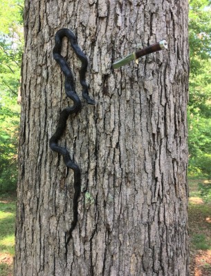 Randall & Rat Snake.jpg