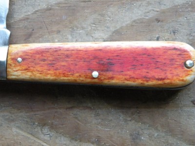 DSCN9726.JPG