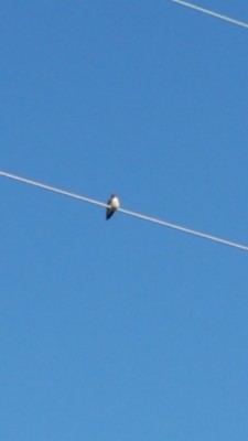 20200601_083915.jpg