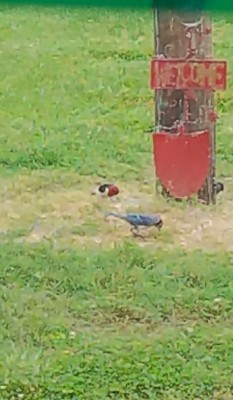 20200604_113201.jpg
