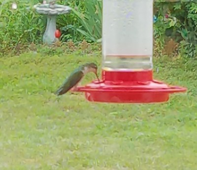20200604_113521.jpg