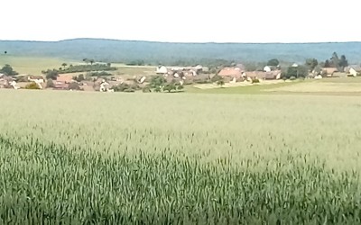 IMG_20200608_103331.jpg