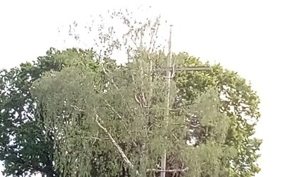 IMG_20200608_102847.jpg