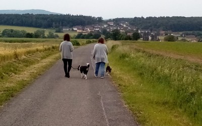 Another one walking there. Silvia &amp; Jake on the right, Jazlin &amp; Angel on the left.