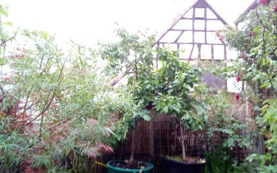 IMG_20200614_084255.jpg