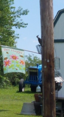 20200614_102237.jpg