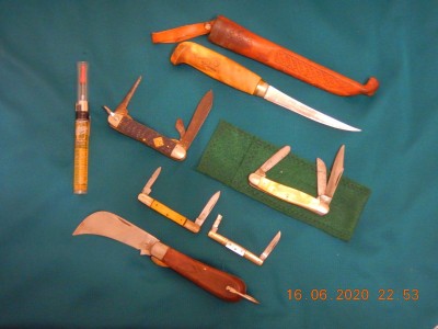 DSCN3450.JPG