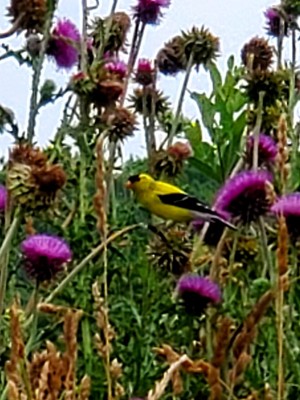 20200621_093055.jpg