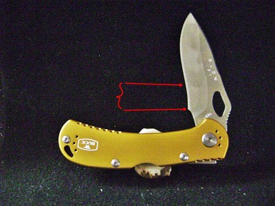 Buck 722YW 2019 Spitfire Yellow - Annotated.JPG