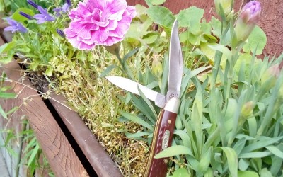Pretty as a Flower!