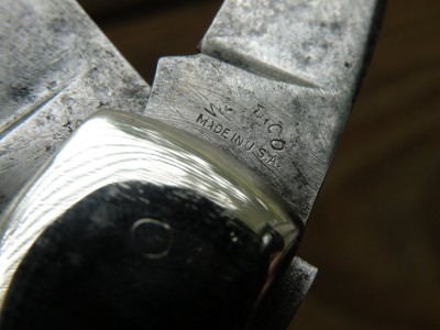 DSCN9876.JPG
