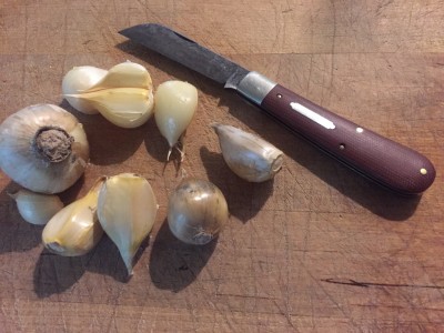 garlic.jpg