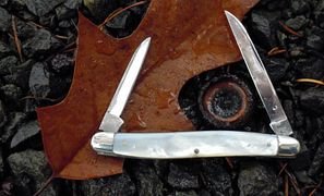 remington warncliff pearl.jpg