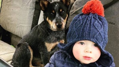 Boy and His Dog.jpg