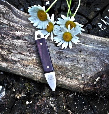 2020-tuna-pick-ironwood-01-lo.jpg