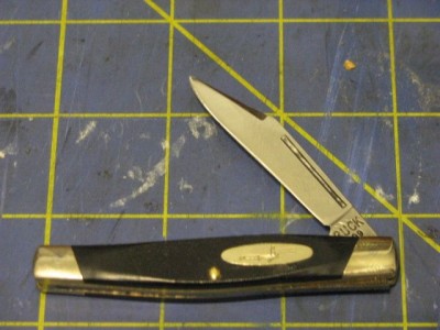 Buck309.jpg