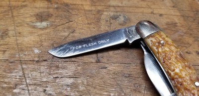 15944019752711790702919981517297.jpg