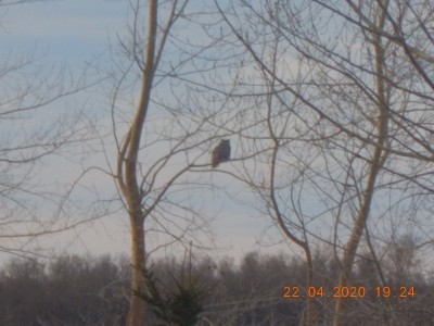 DSCN2958.JPG