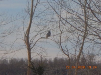 DSCN2960.JPG