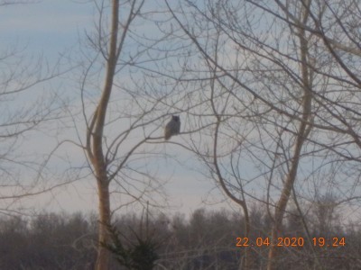DSCN2961.JPG