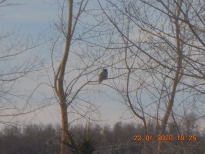 DSCN2962.JPG