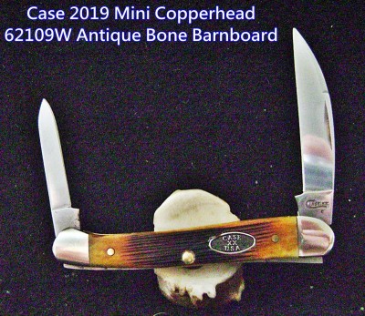 Case 2019 Mini Copperhead 62109W Antique Bone Barnboard - Labeled.JPG