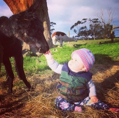 Baby and Alpaca.jpg