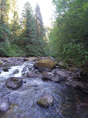 20200716_173823.jpg